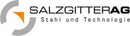 Logo Salzgitter AG in Salzgitter